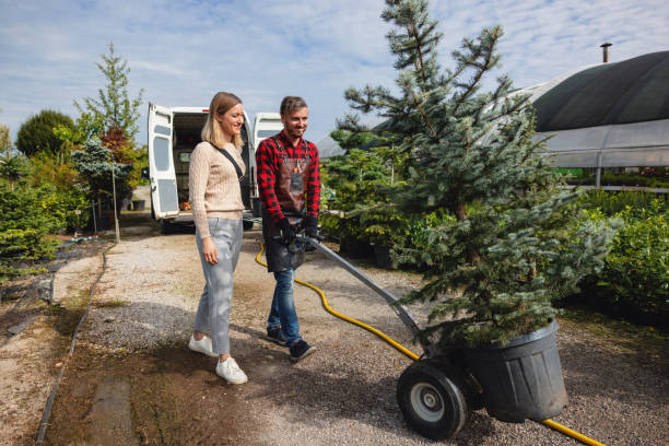 Best Tree Maintenance Programs  in USA